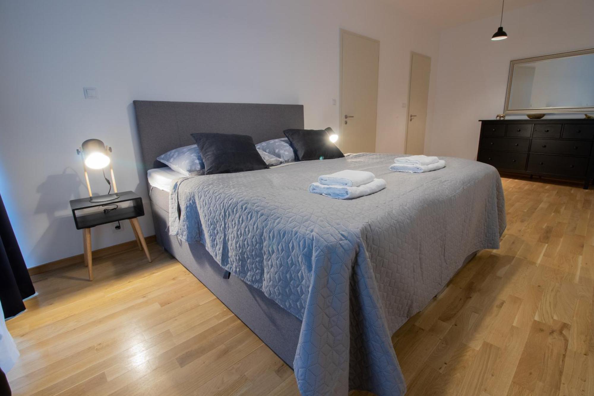 Apartment Krakovska Prag