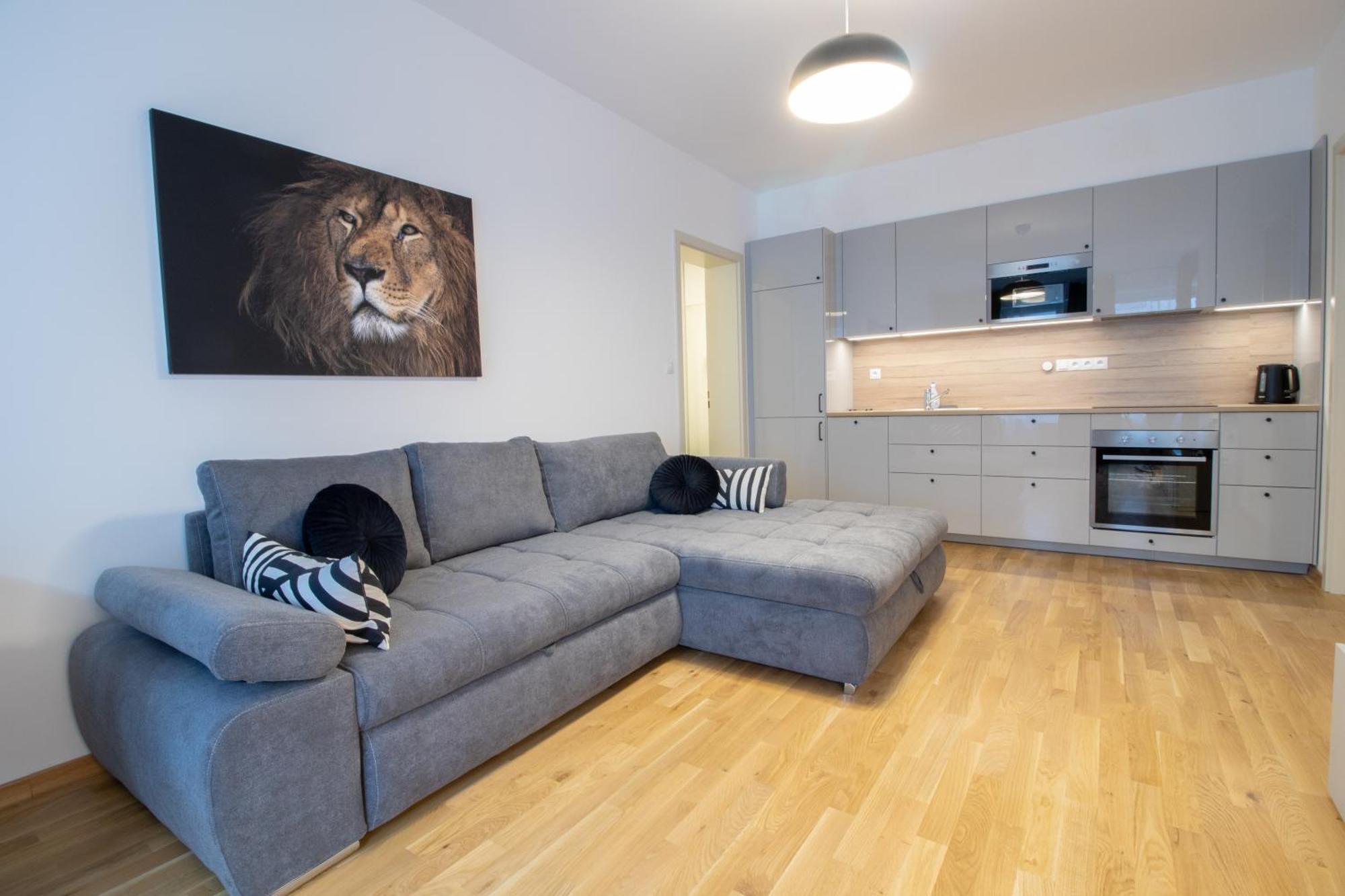 Krakovska Apartment