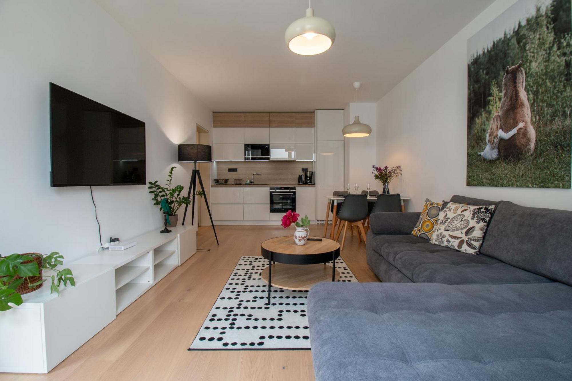 Apartment Krakovska Prag