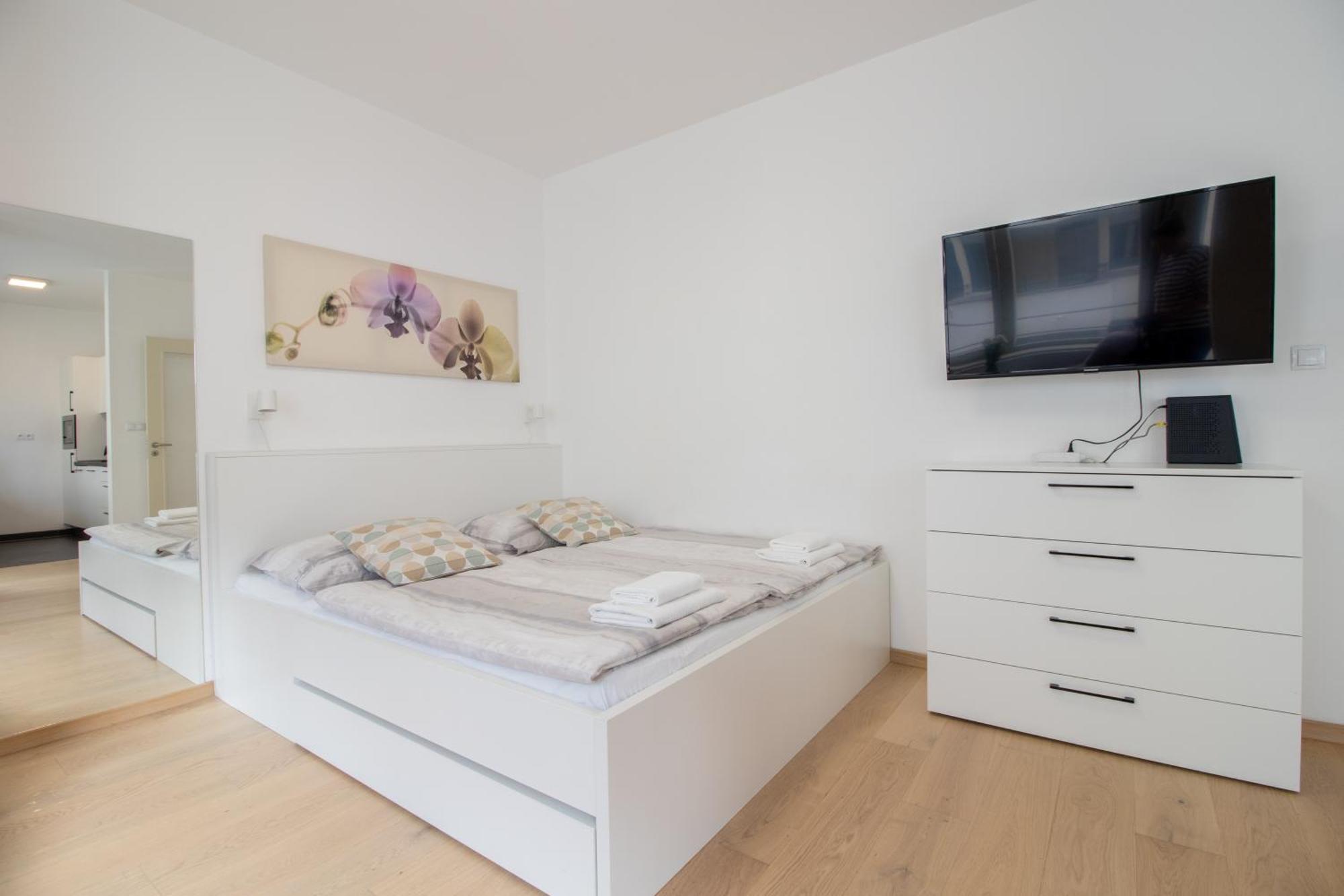 Krakovska Apartment Prag